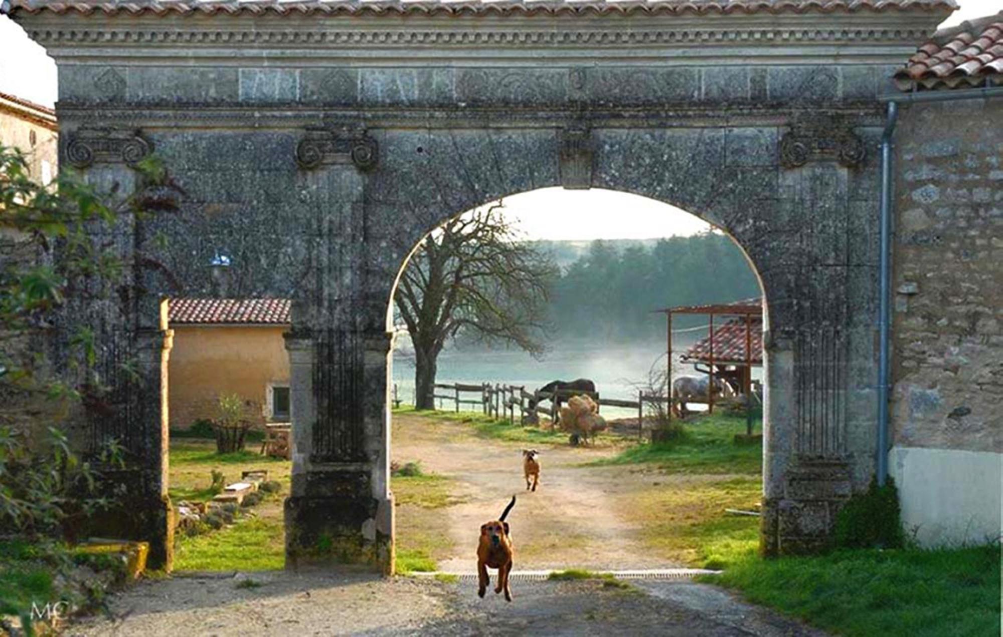 Domaine De Chantemerle B'Nb Marsac  Zewnętrze zdjęcie